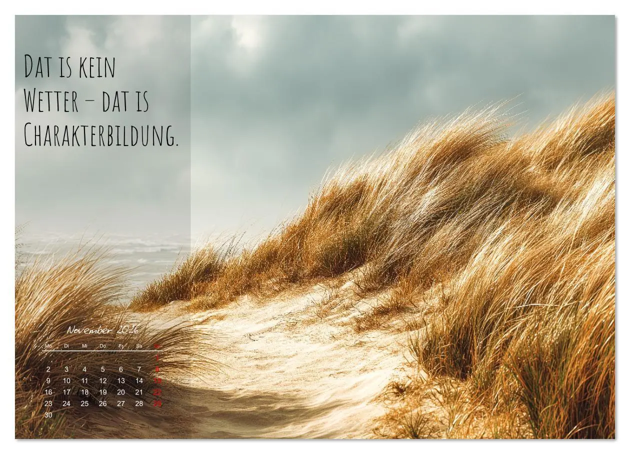 Bild: 9783516637182 | Moin Moin ist schon gesabbel - Norddeutscher Sprüche-Kalender...