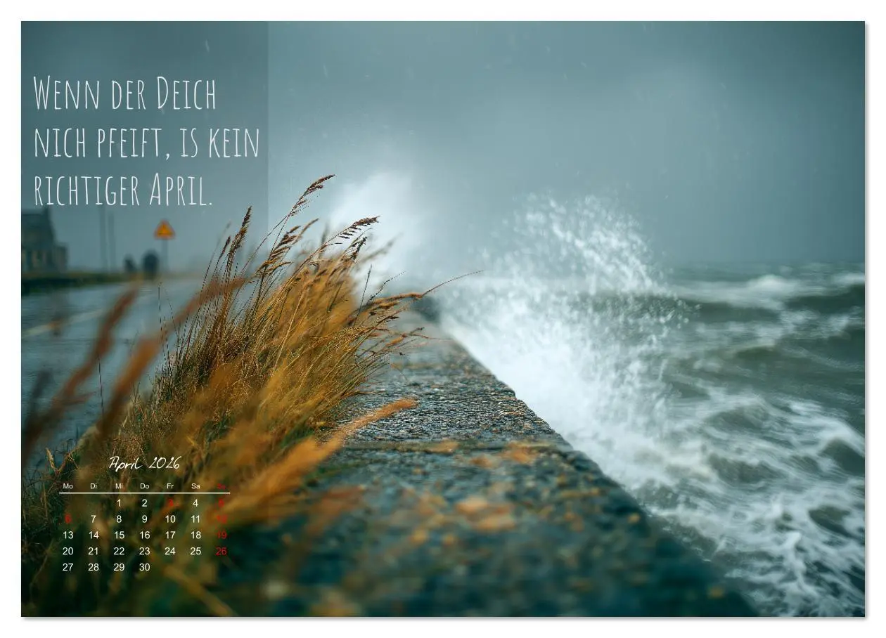 Bild: 9783516637182 | Moin Moin ist schon gesabbel - Norddeutscher Sprüche-Kalender...