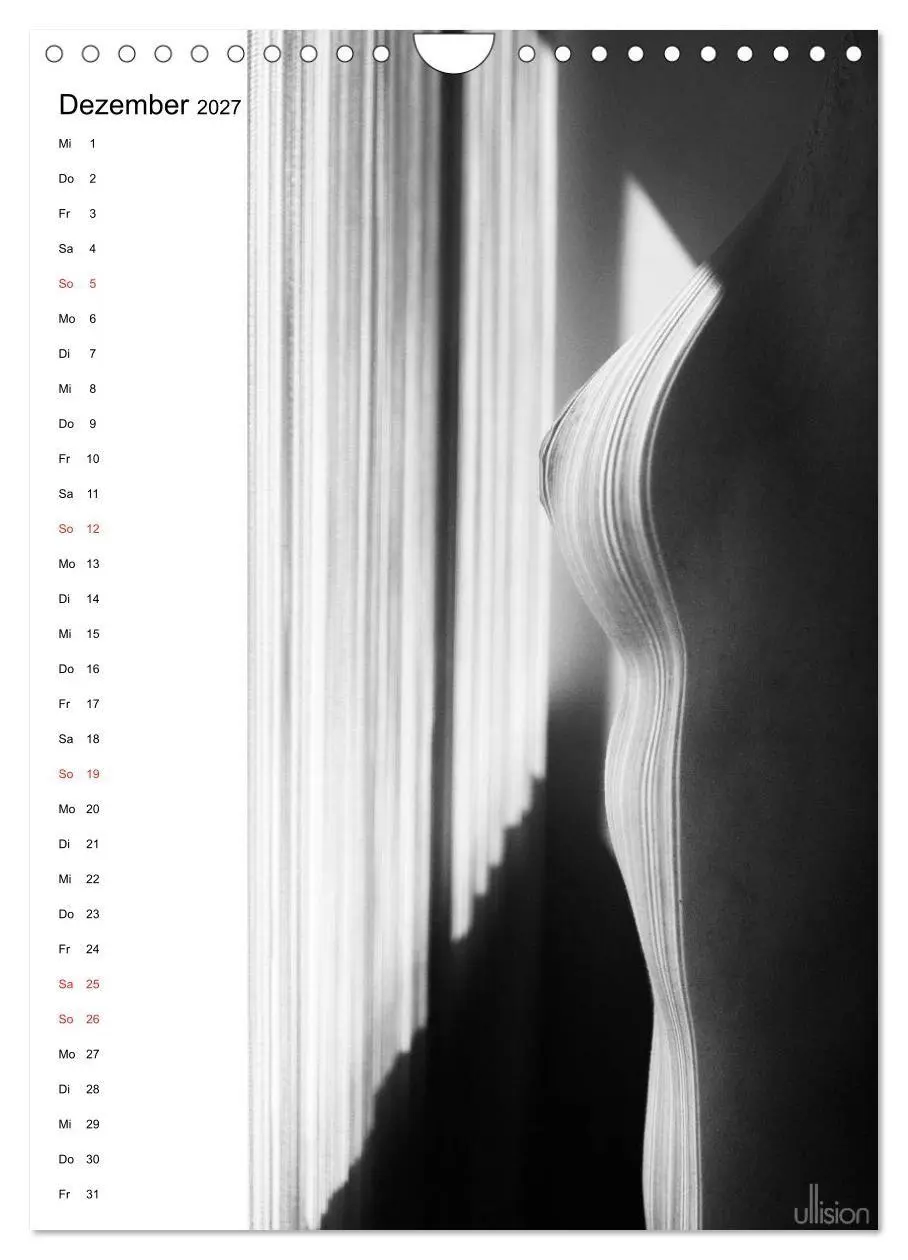 Bild: 9783594167182 | Akt abstrakt (Wandkalender 2027 DIN A4 hoch), CALVENDO Monatskalender