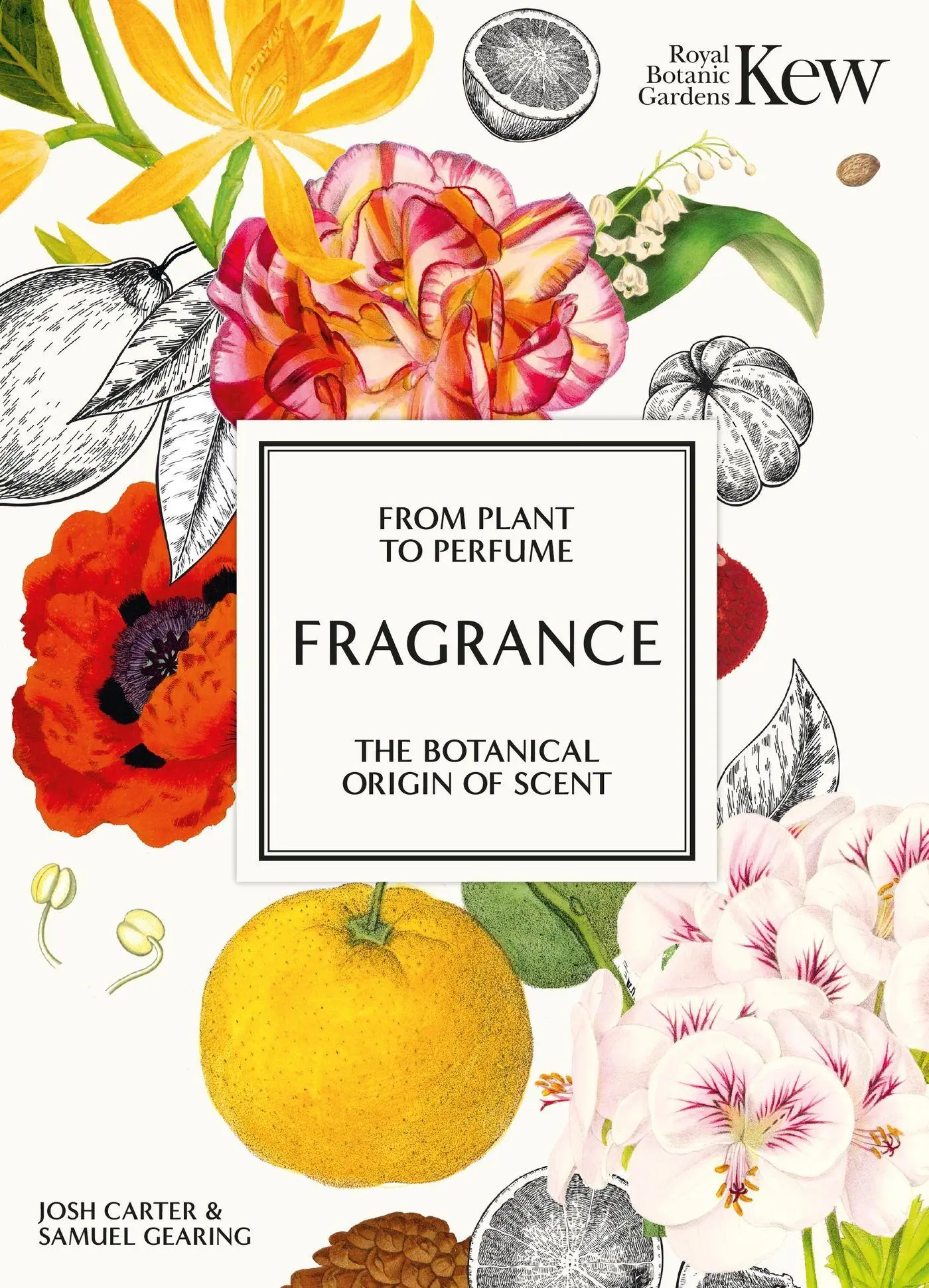 Cover: 9781802797282 | Fragrance | From plant to perfume, the botanical origins of scent