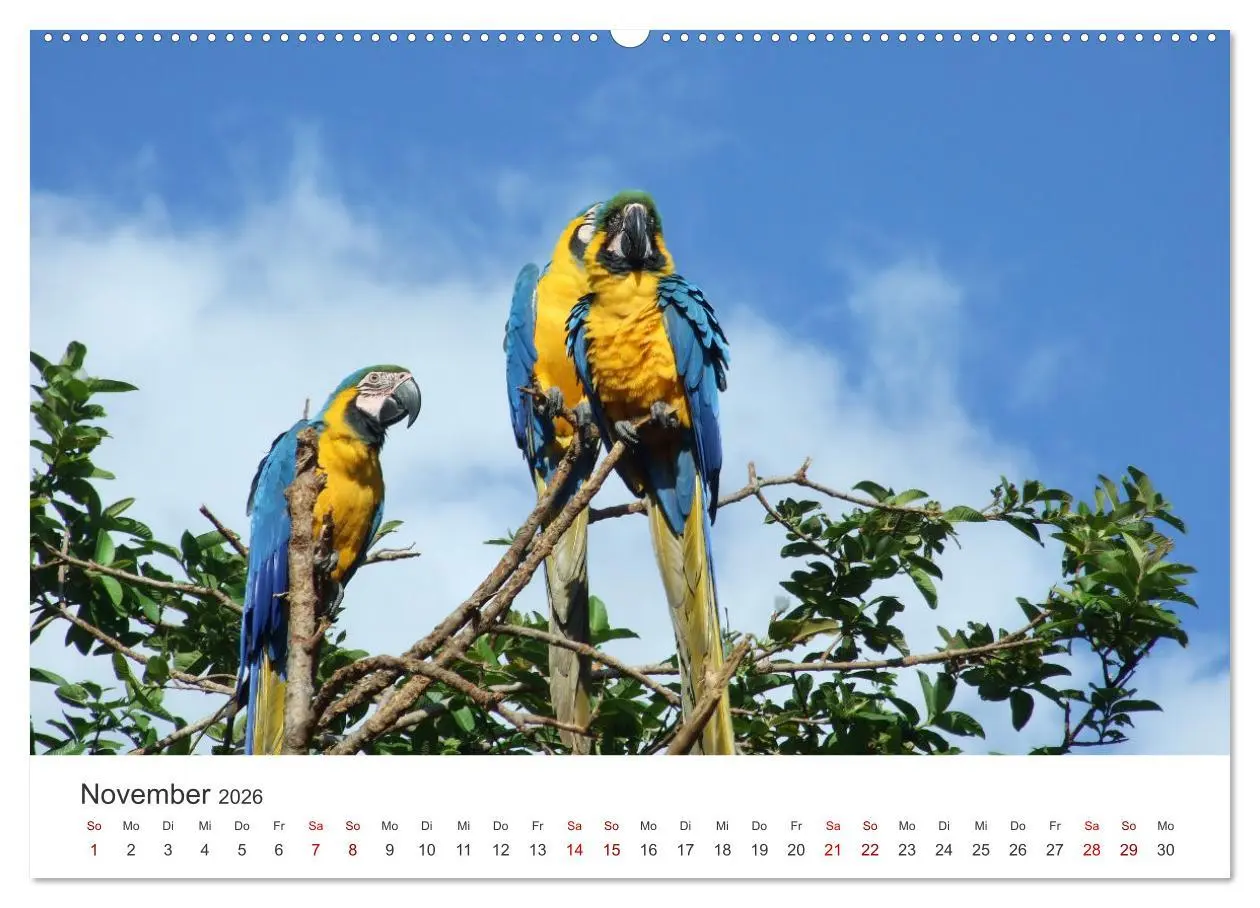 Bild: 9783457607282 | Venezuela - Eine Reise entlang der Karibikküste. (Wandkalender 2026...