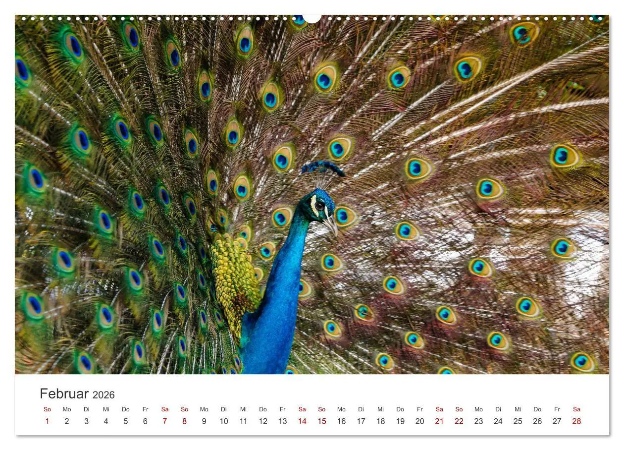 Bild: 9783457607282 | Venezuela - Eine Reise entlang der Karibikküste. (Wandkalender 2026...