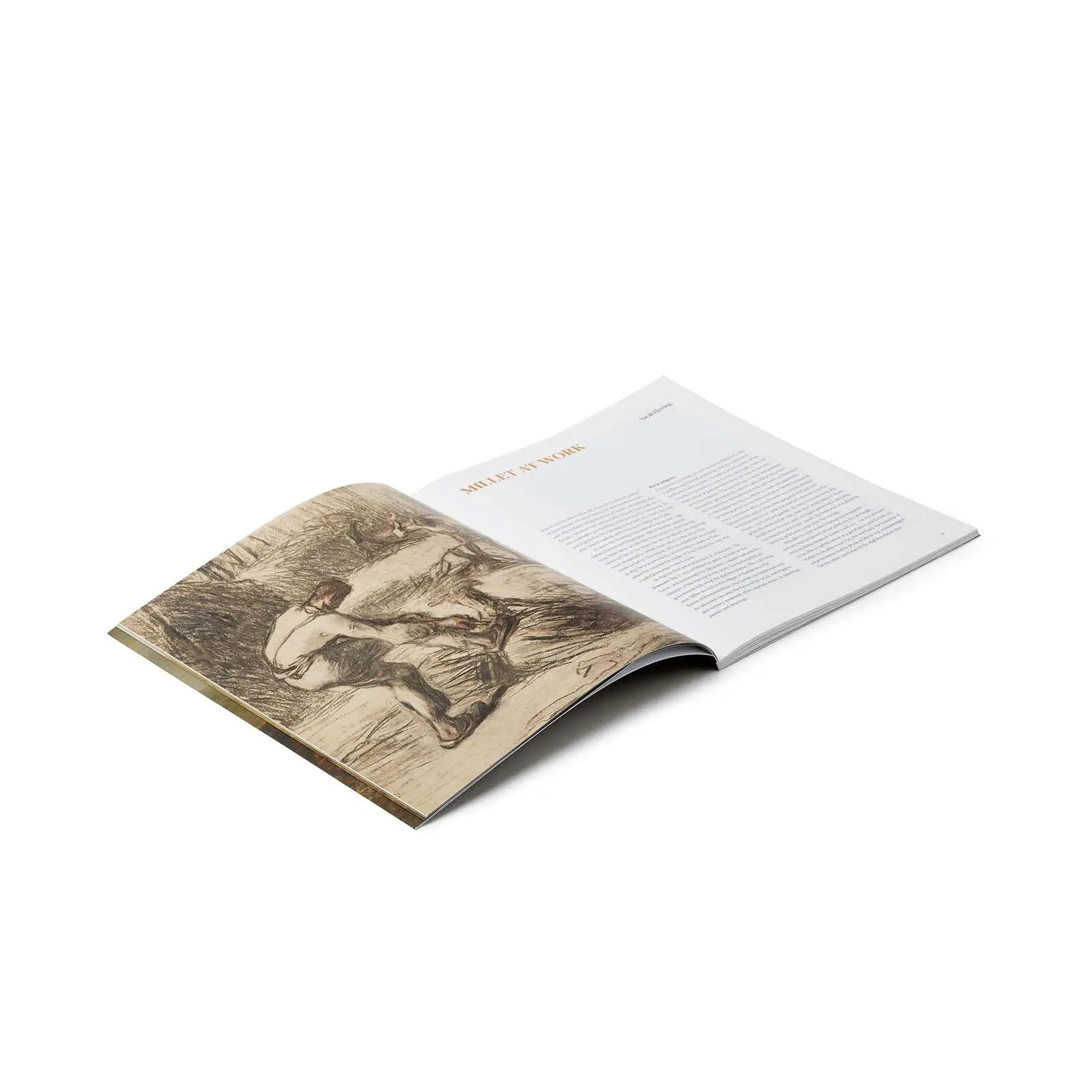 Bild: 9781857097382 | Millet | Life on the Land | Sarah Herring (u. a.) | Taschenbuch | 2025