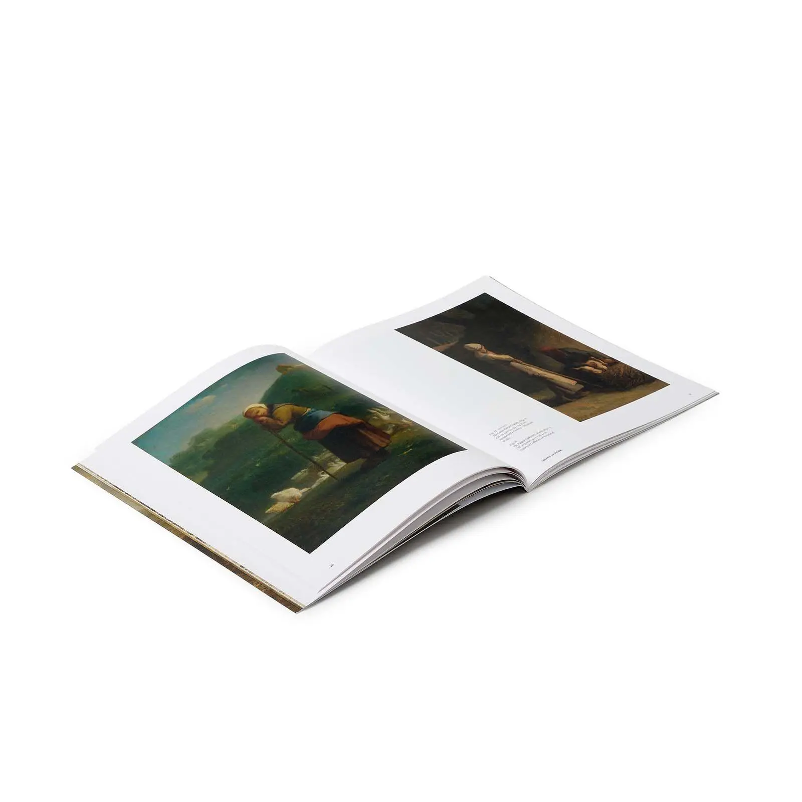 Bild: 9781857097382 | Millet | Life on the Land | Sarah Herring (u. a.) | Taschenbuch | 2025