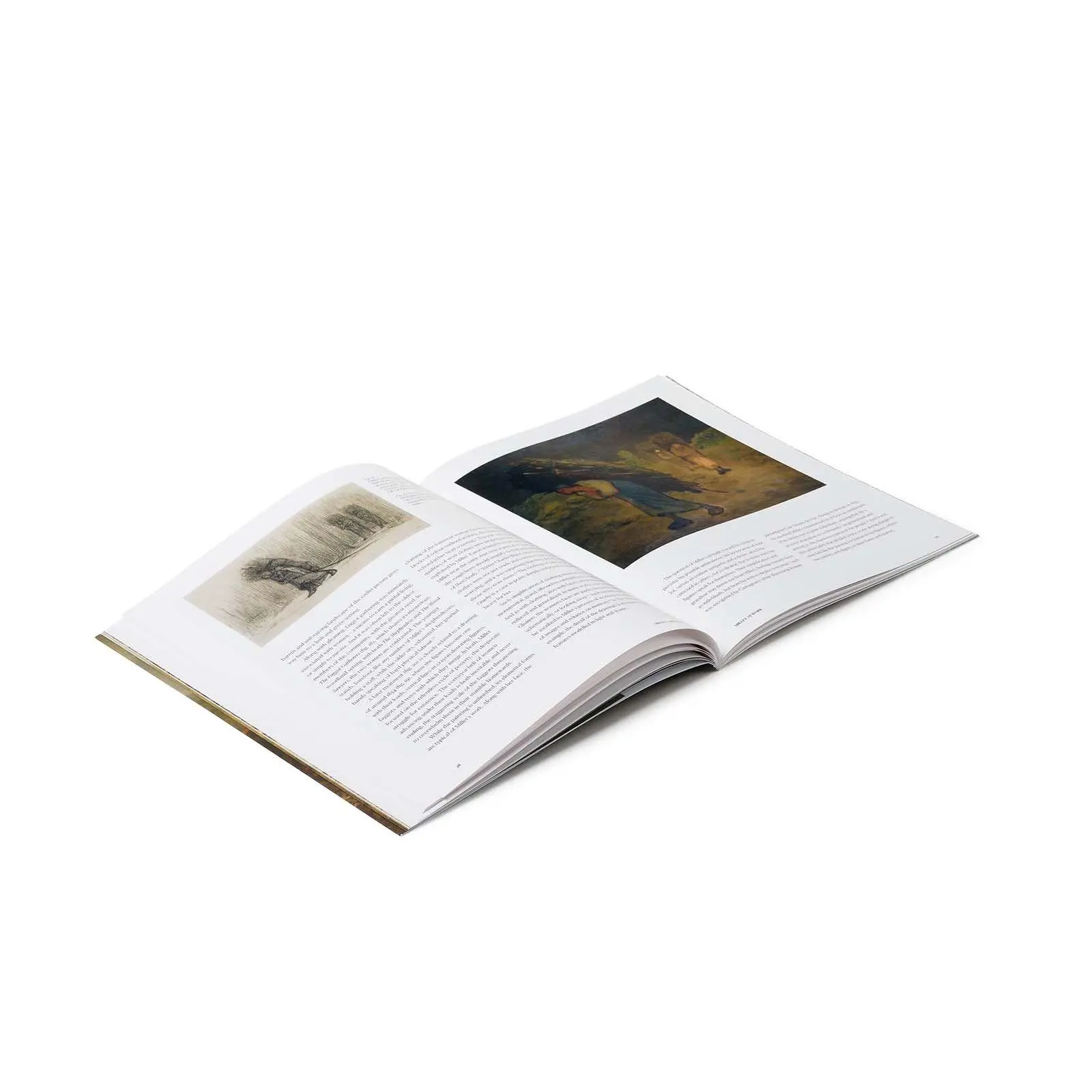 Bild: 9781857097382 | Millet | Life on the Land | Sarah Herring (u. a.) | Taschenbuch | 2025