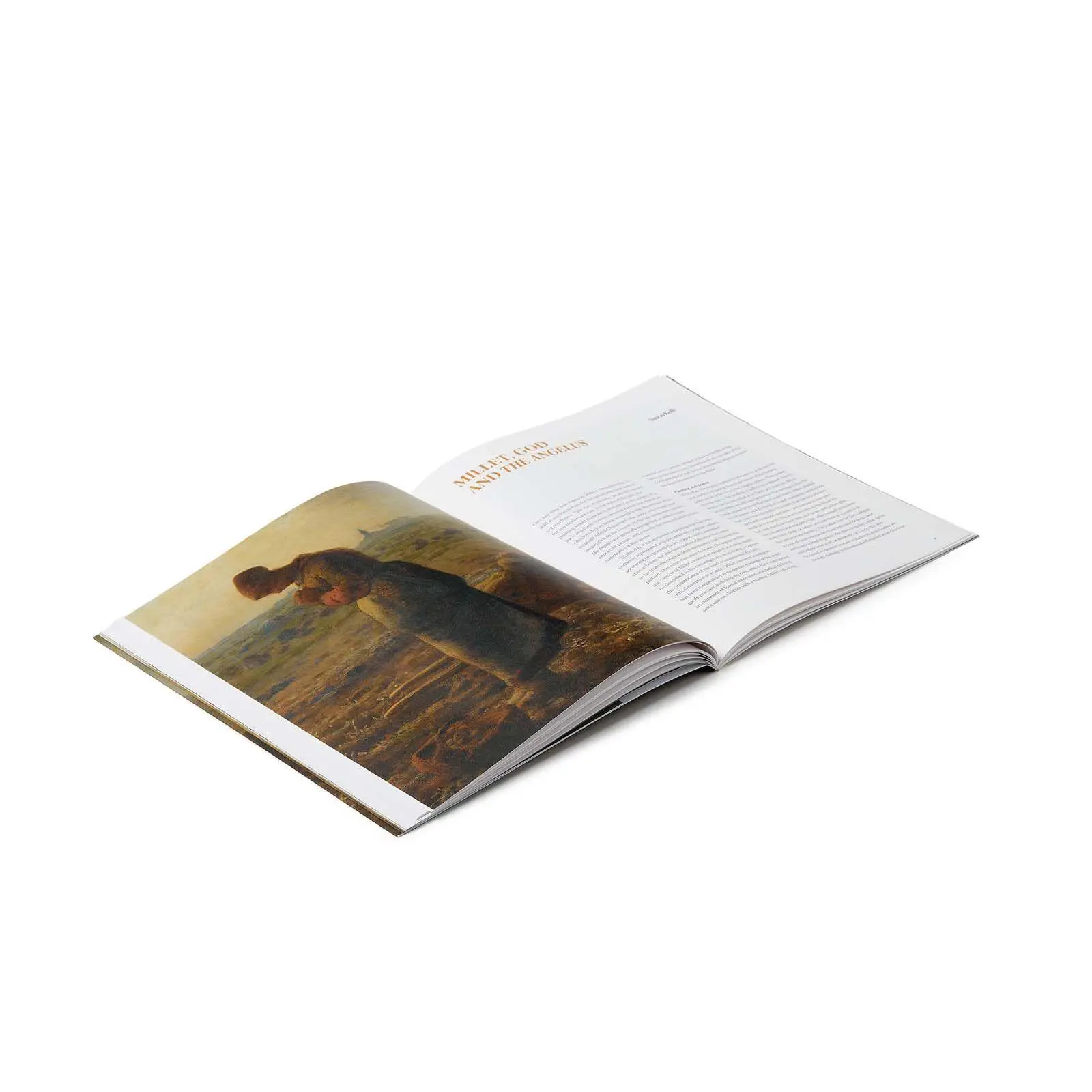 Bild: 9781857097382 | Millet | Life on the Land | Sarah Herring (u. a.) | Taschenbuch | 2025