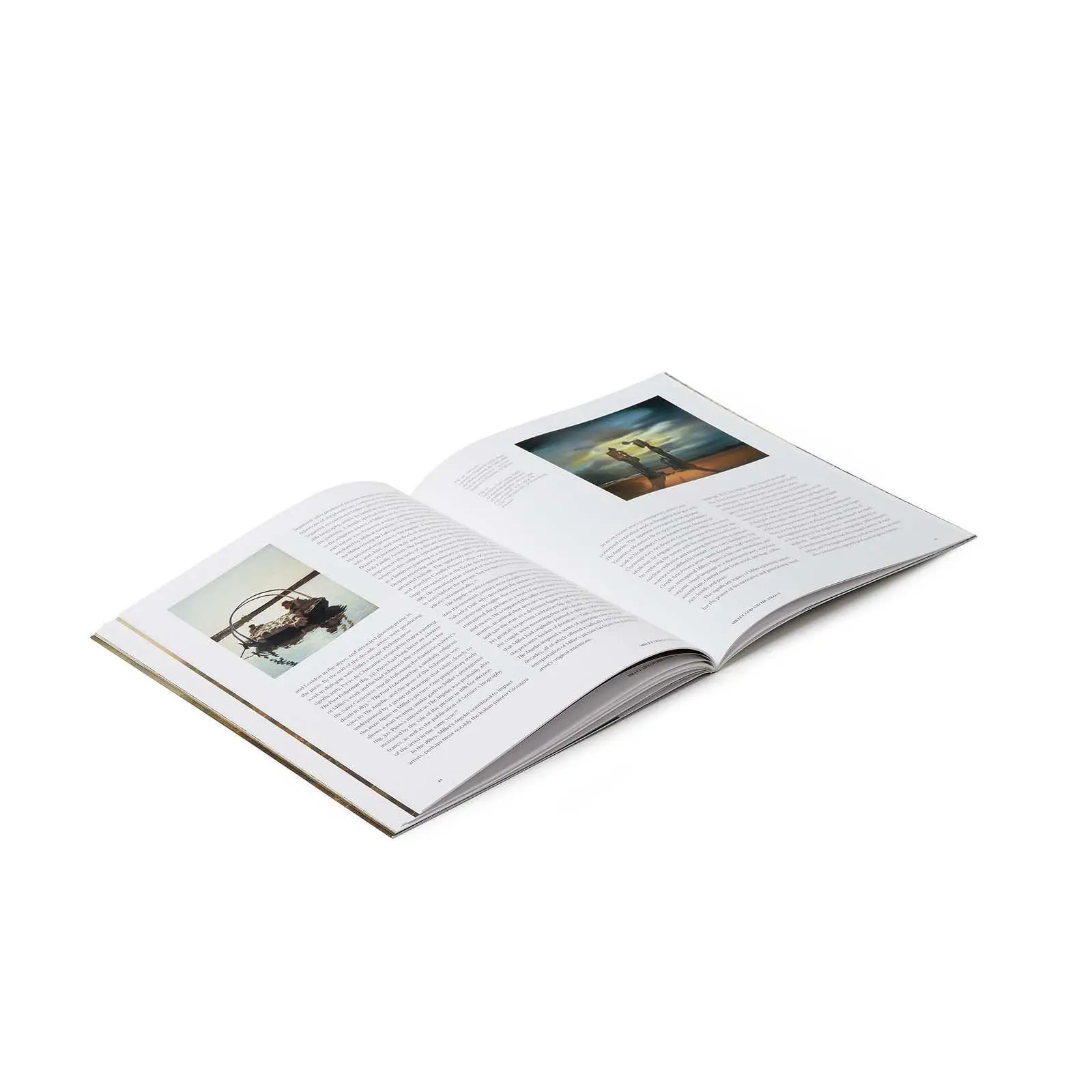 Bild: 9781857097382 | Millet | Life on the Land | Sarah Herring (u. a.) | Taschenbuch | 2025