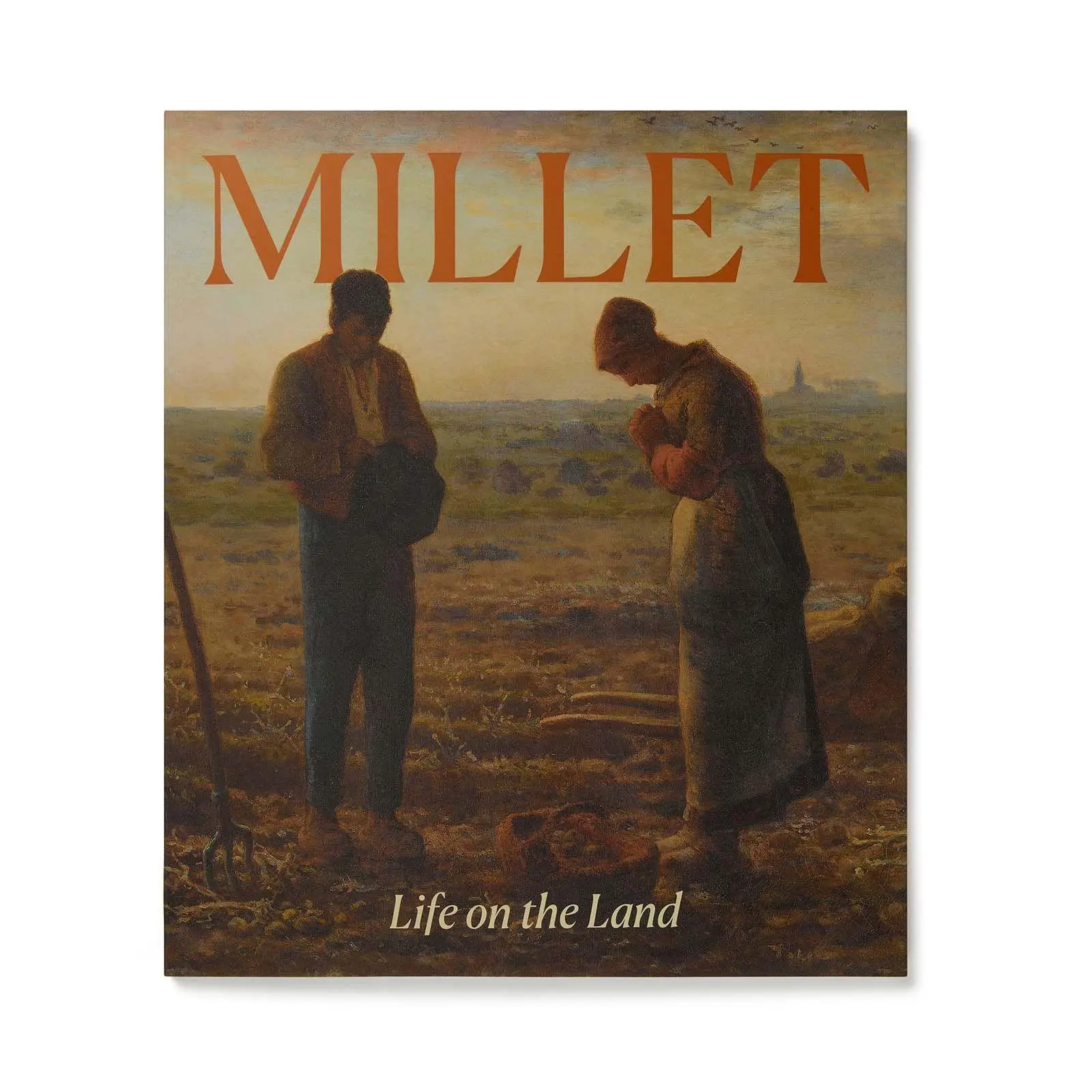 Bild: 9781857097382 | Millet | Life on the Land | Sarah Herring (u. a.) | Taschenbuch | 2025