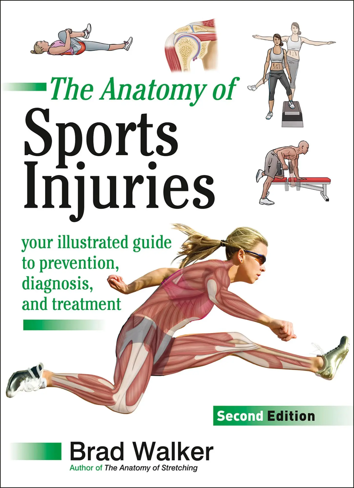Cover: 9781905367382 | The Anatomy of Sports Injuries | Brad Walker | Taschenbuch | Englisch