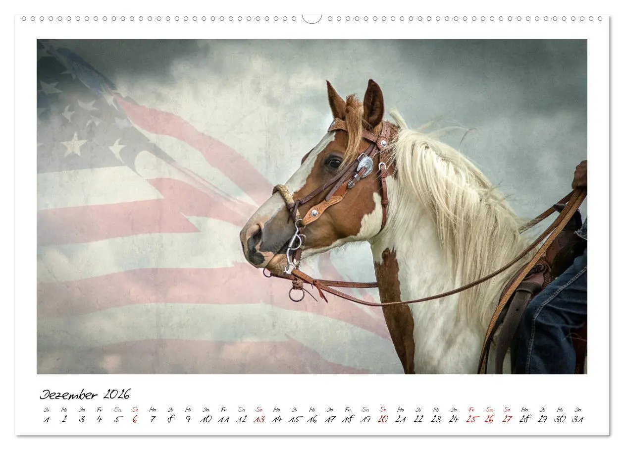 Bild: 9783457767382 | Mecklenburgs Wilder Westen (hochwertiger Premium Wandkalender 2026...
