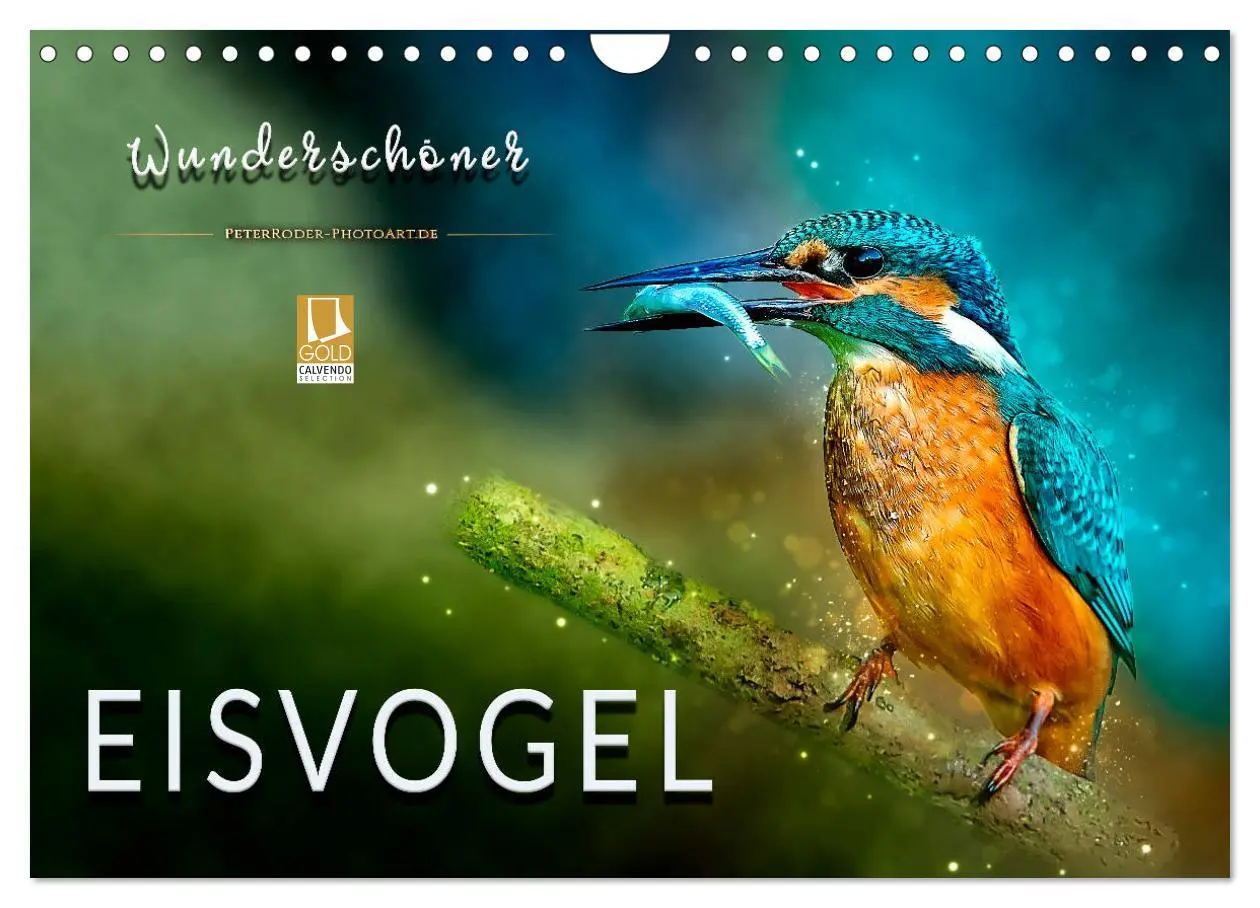 Cover: 9783457837382 | Wunderschöner Eisvogel (Wandkalender 2026 DIN A4 quer), CALVENDO...