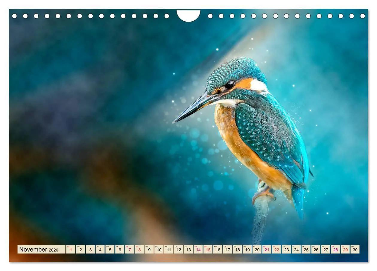 Bild: 9783457837382 | Wunderschöner Eisvogel (Wandkalender 2026 DIN A4 quer), CALVENDO...