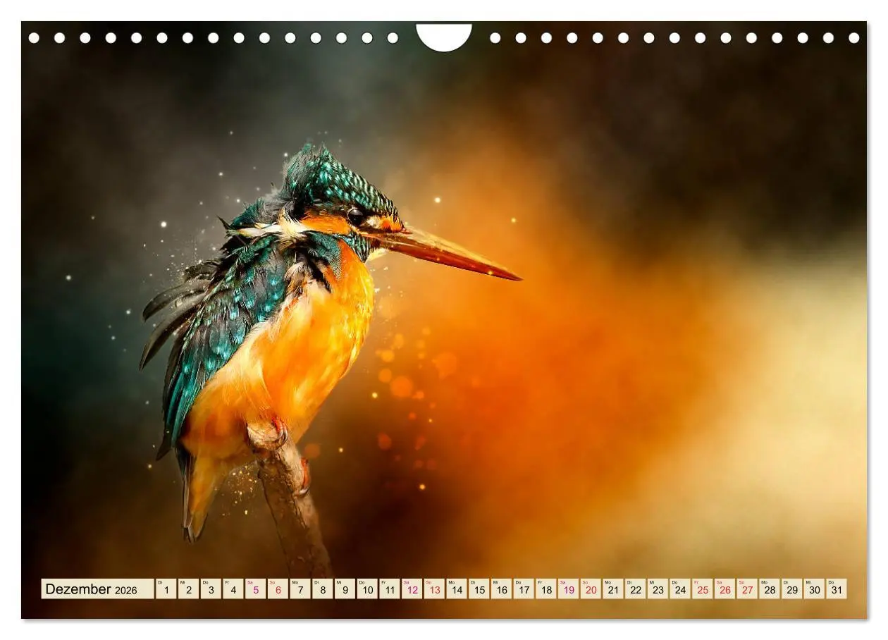 Bild: 9783457837382 | Wunderschöner Eisvogel (Wandkalender 2026 DIN A4 quer), CALVENDO...