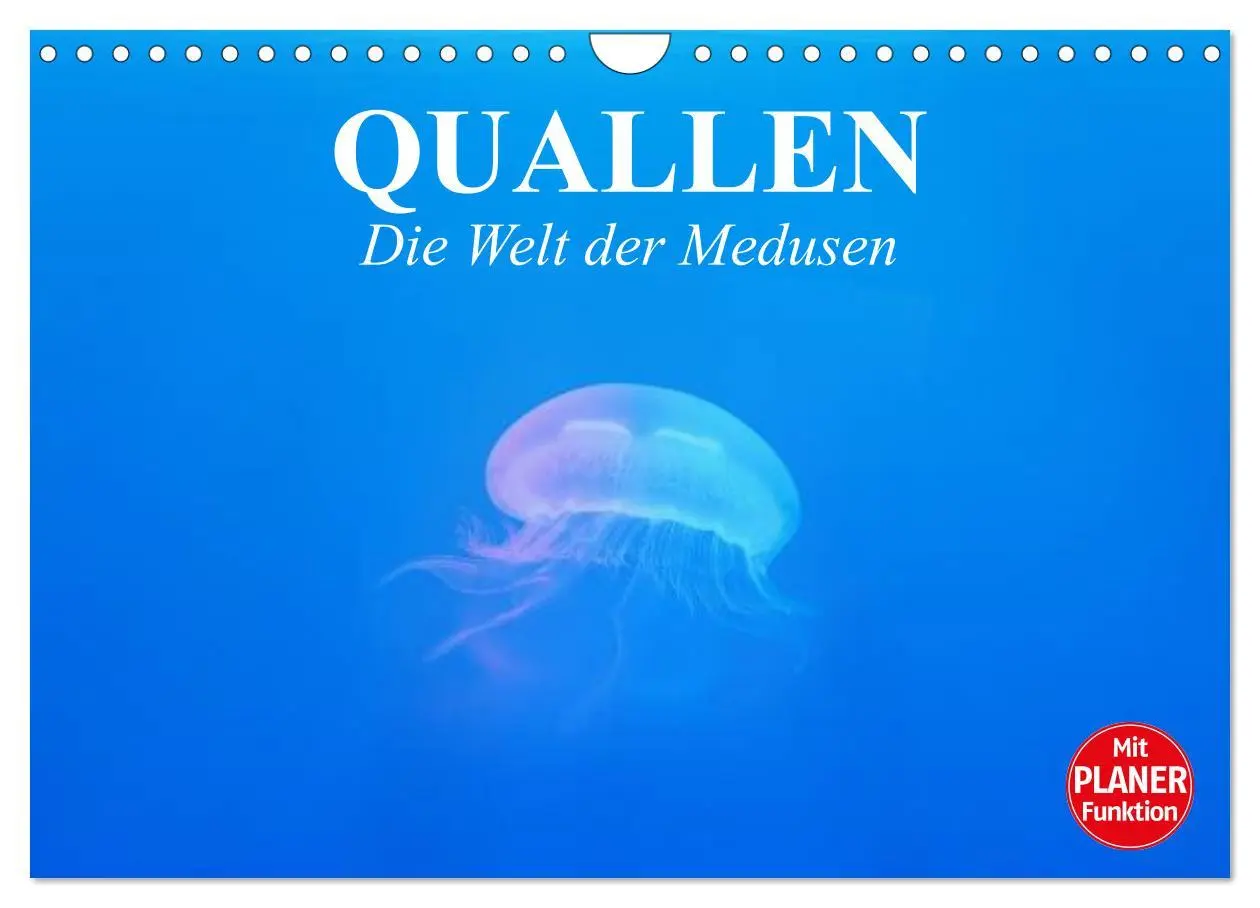Cover: 9783457997482 | Quallen. Die Welt der Medusen (Wandkalender 2026 DIN A4 quer),...