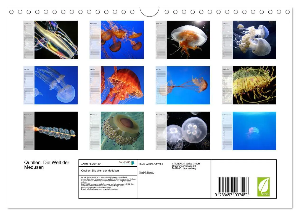 Bild: 9783457997482 | Quallen. Die Welt der Medusen (Wandkalender 2026 DIN A4 quer),...