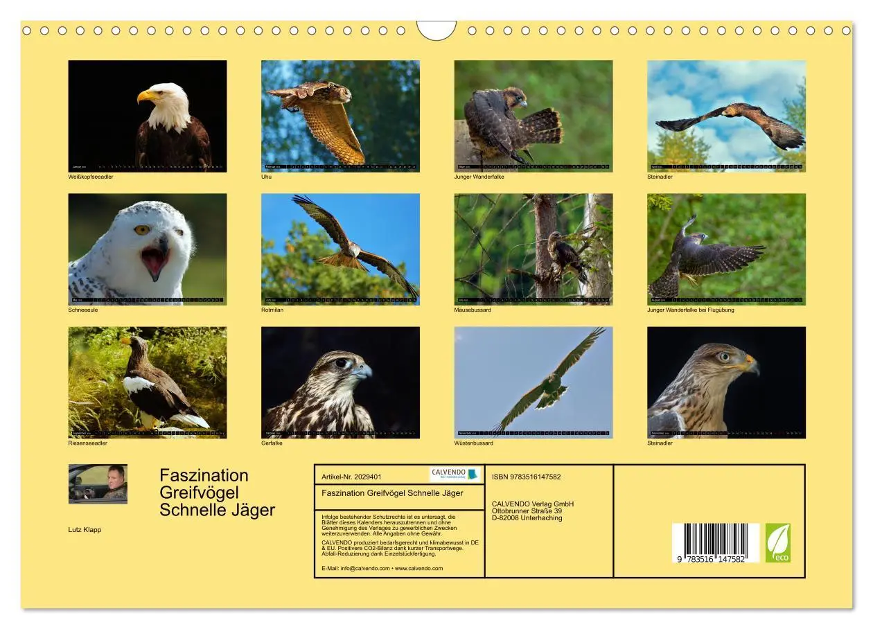Bild: 9783516147582 | Faszination Greifvögel Schnelle Jäger (Wandkalender 2026 DIN A3...