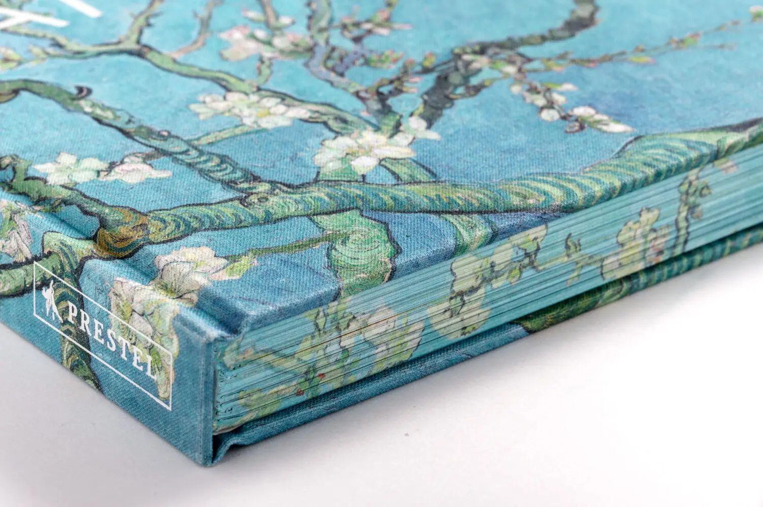 Bild: 9783791377582 | Van Gogh | Anne Sefrioui | Buch | 176 S. | Deutsch | 2024 | Prestel