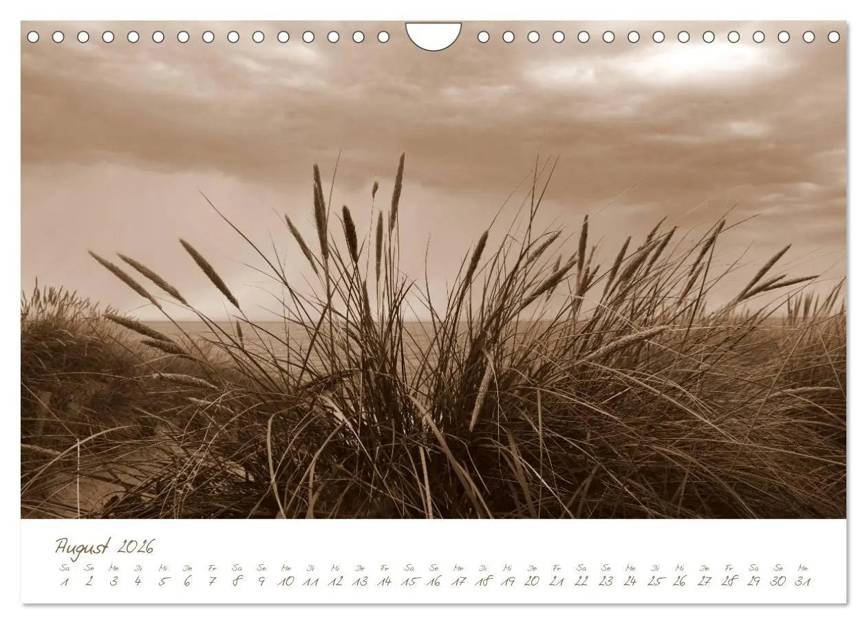Bild: 9783457977682 | Ostsee-Nostalgie (Wandkalender 2026 DIN A4 quer), CALVENDO...