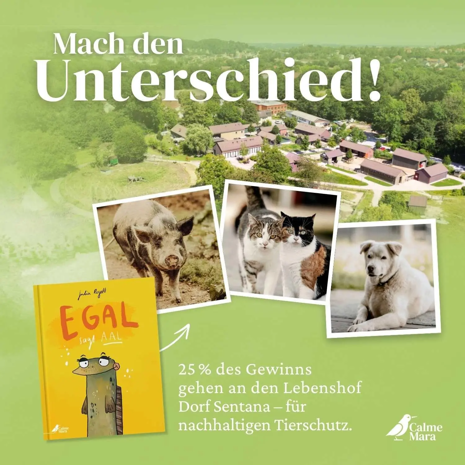 Bild: 9783948877682 | Egal, sagt Aal | Julia Regett | Buch | 32 S. | Deutsch | 2025