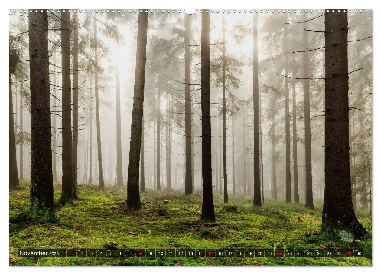 Bild: 9783457967782 | Zauberhaftes Fichtelgebirge (Wandkalender 2026 DIN A2 quer),...