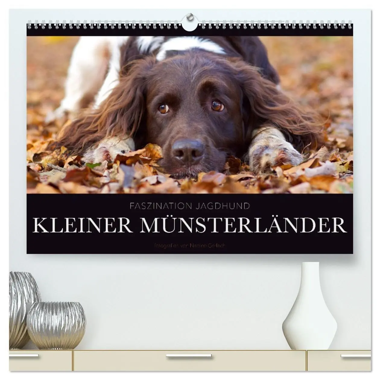 Cover: 9783569837782 | Faszination Jagdhund - Kleiner Münsterländer (hochwertiger Premium...