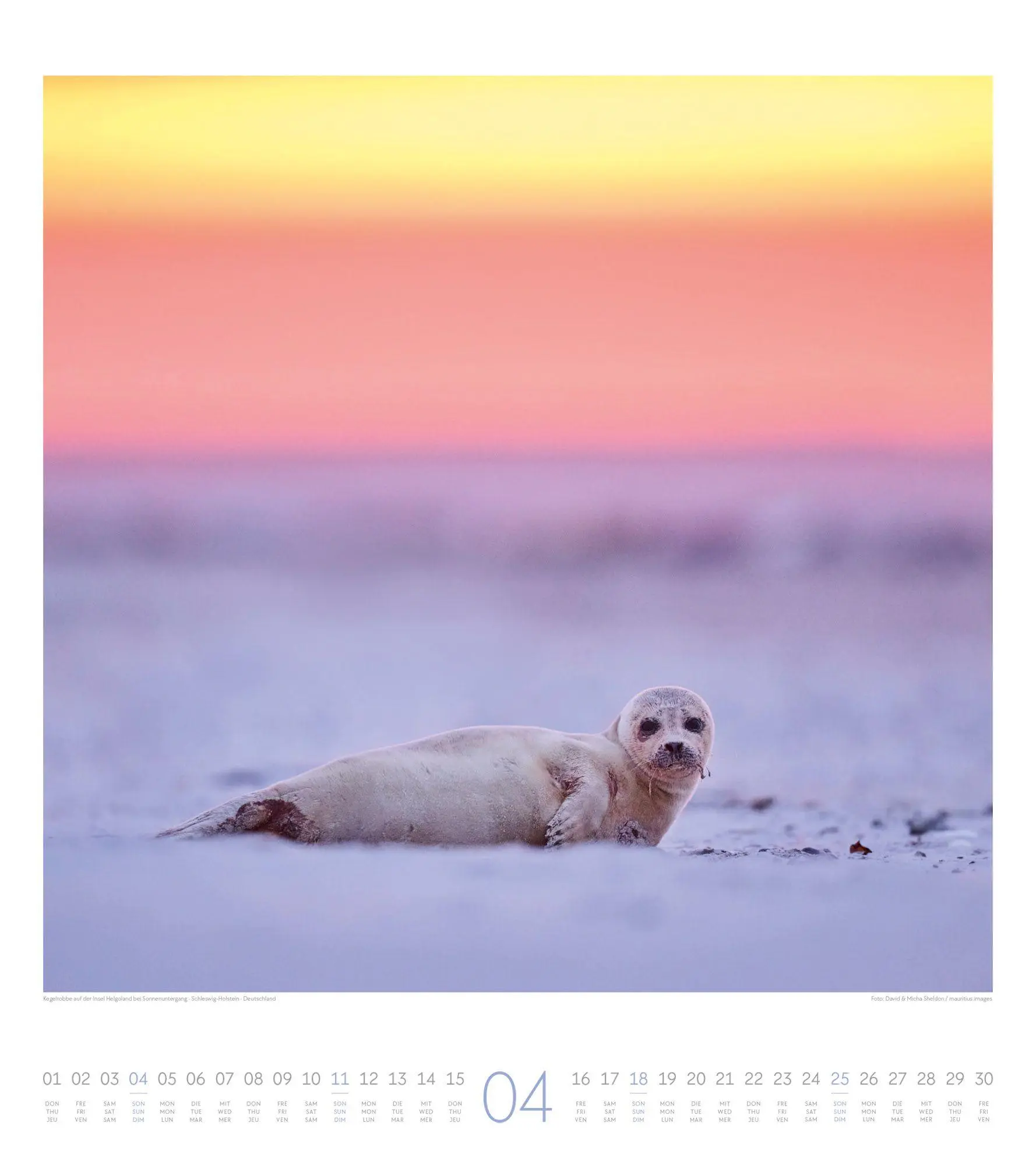 Bild: 9783838427782 | Meeresstille Kalender 2027 | Ackermann Kunstverlag GmbH | Kalender