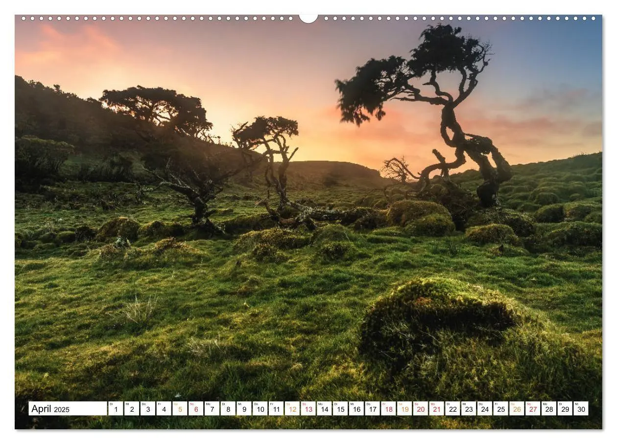 Bild: 9783435317882 | Azoren - Paradies im Atlantik (Wandkalender 2025 DIN A2 quer),...