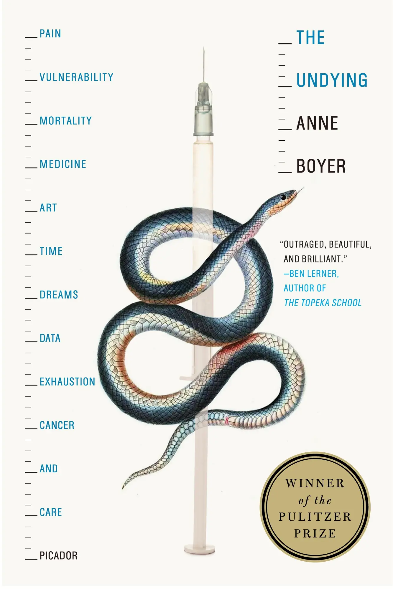Cover: 9781250757982 | The Undying | Anne Boyer | Taschenbuch | Kartoniert / Broschiert
