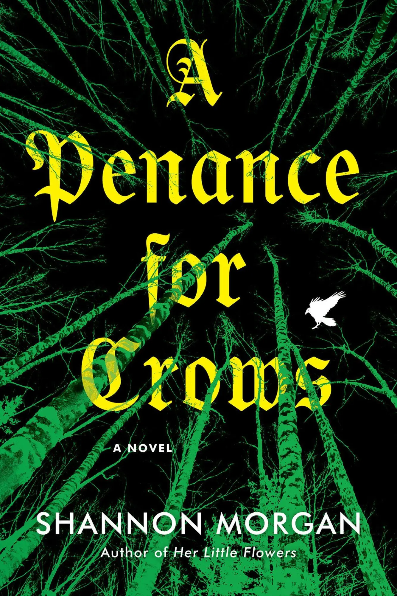 Cover: 9781496757982 | A Penance for Crows | Shannon Morgan | Taschenbuch | Englisch | 2026