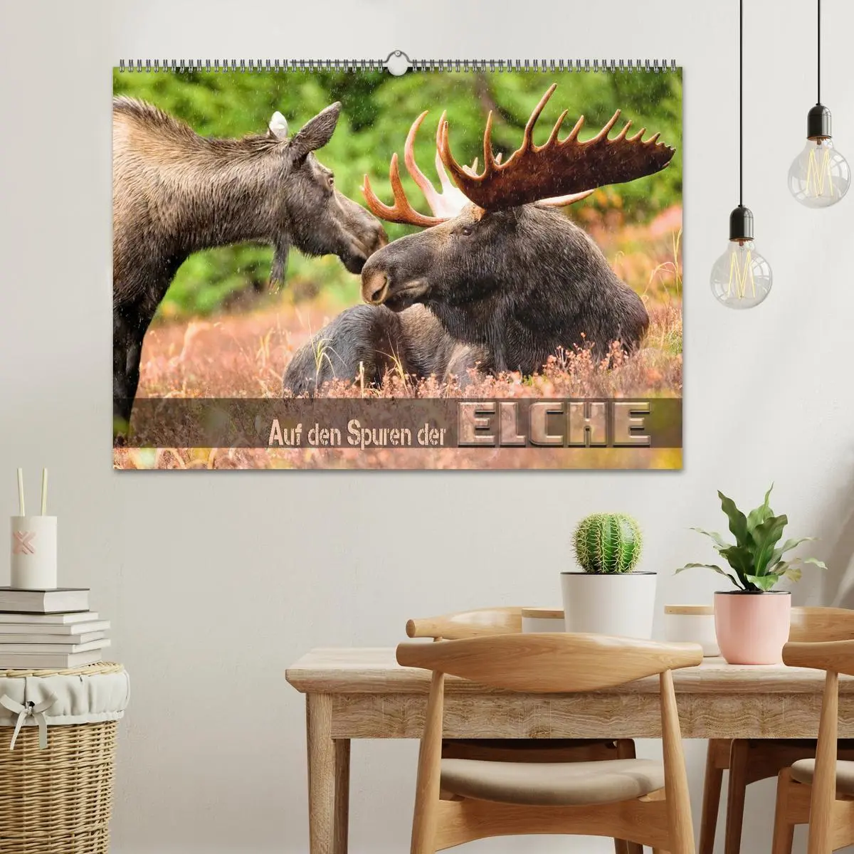 Bild: 9783457567982 | Auf den Spuren der Elche (Wandkalender 2026 DIN A2 quer), CALVENDO...