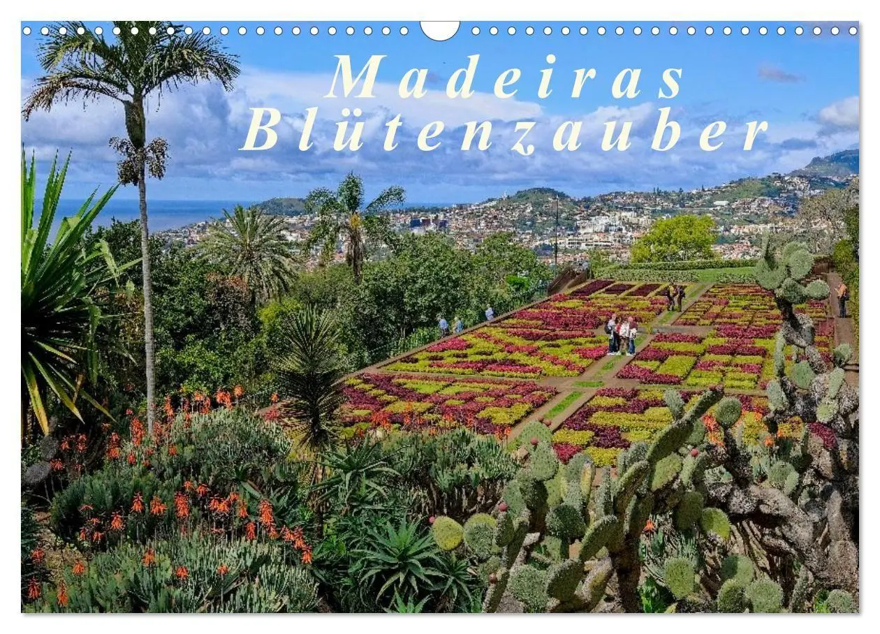Cover: 9783516107982 | Madeiras Blütenzauber (Wandkalender 2026 DIN A3 quer), CALVENDO...