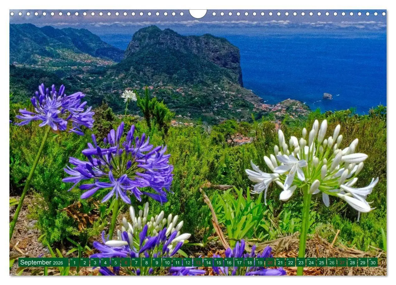 Bild: 9783516107982 | Madeiras Blütenzauber (Wandkalender 2026 DIN A3 quer), CALVENDO...