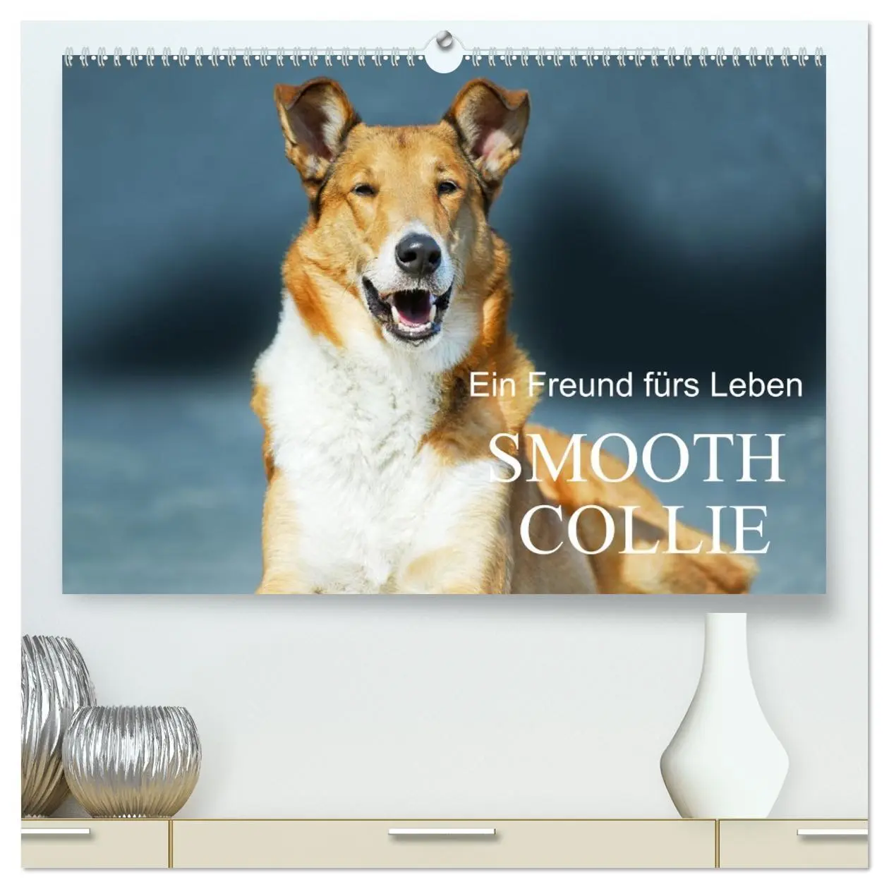 Cover: 9783457388082 | Ein Freund fürs Leben - Smooth Collie (hochwertiger Premium...