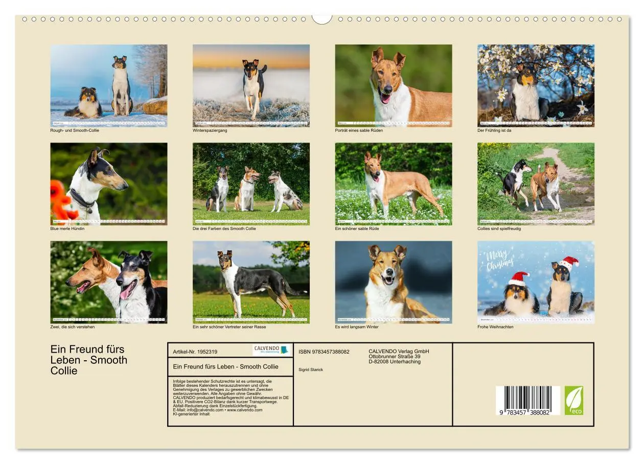 Bild: 9783457388082 | Ein Freund fürs Leben - Smooth Collie (hochwertiger Premium...