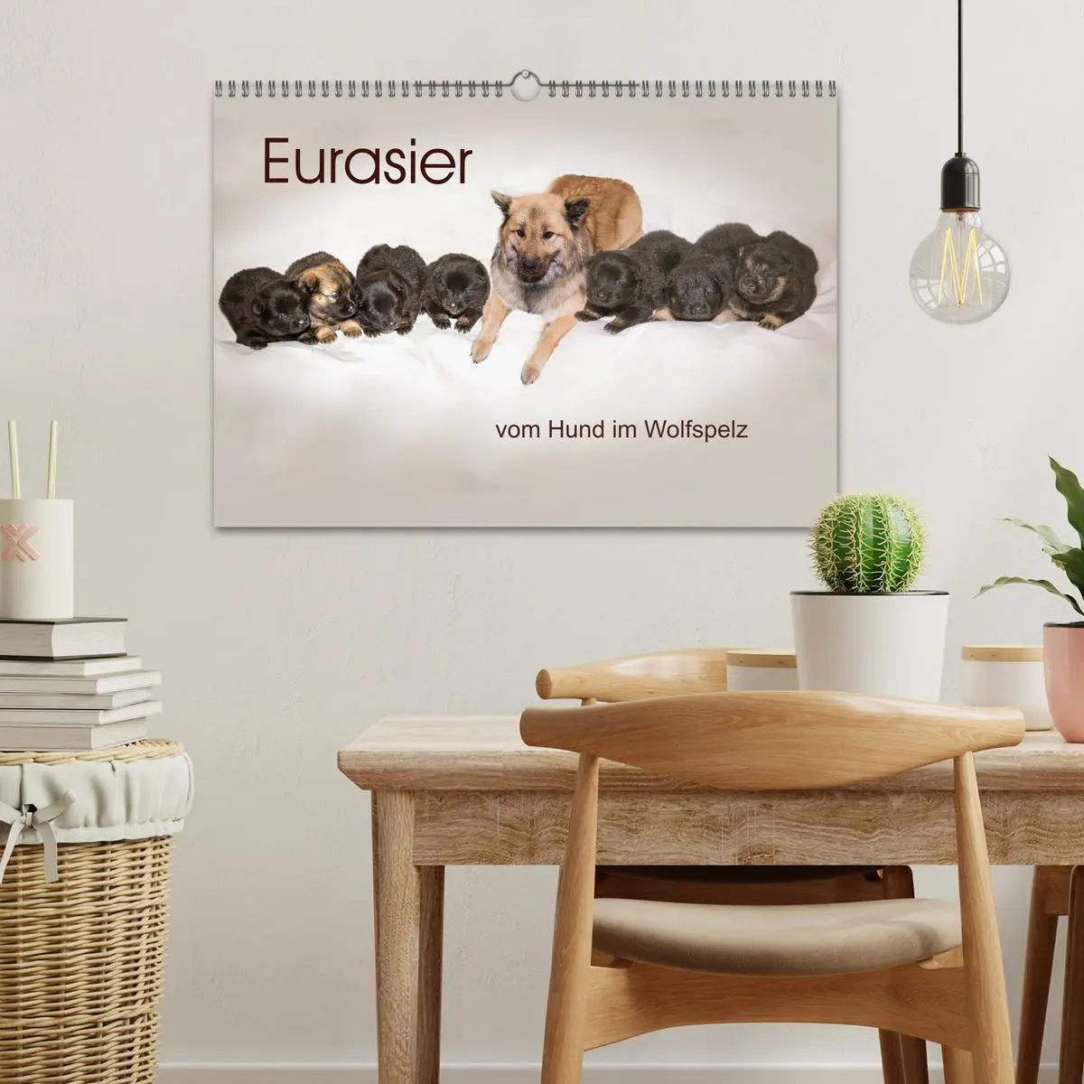 Bild: 9783457838082 | Eurasier, der Hund im Wolfspelz (Wandkalender 2026 DIN A3 quer),...