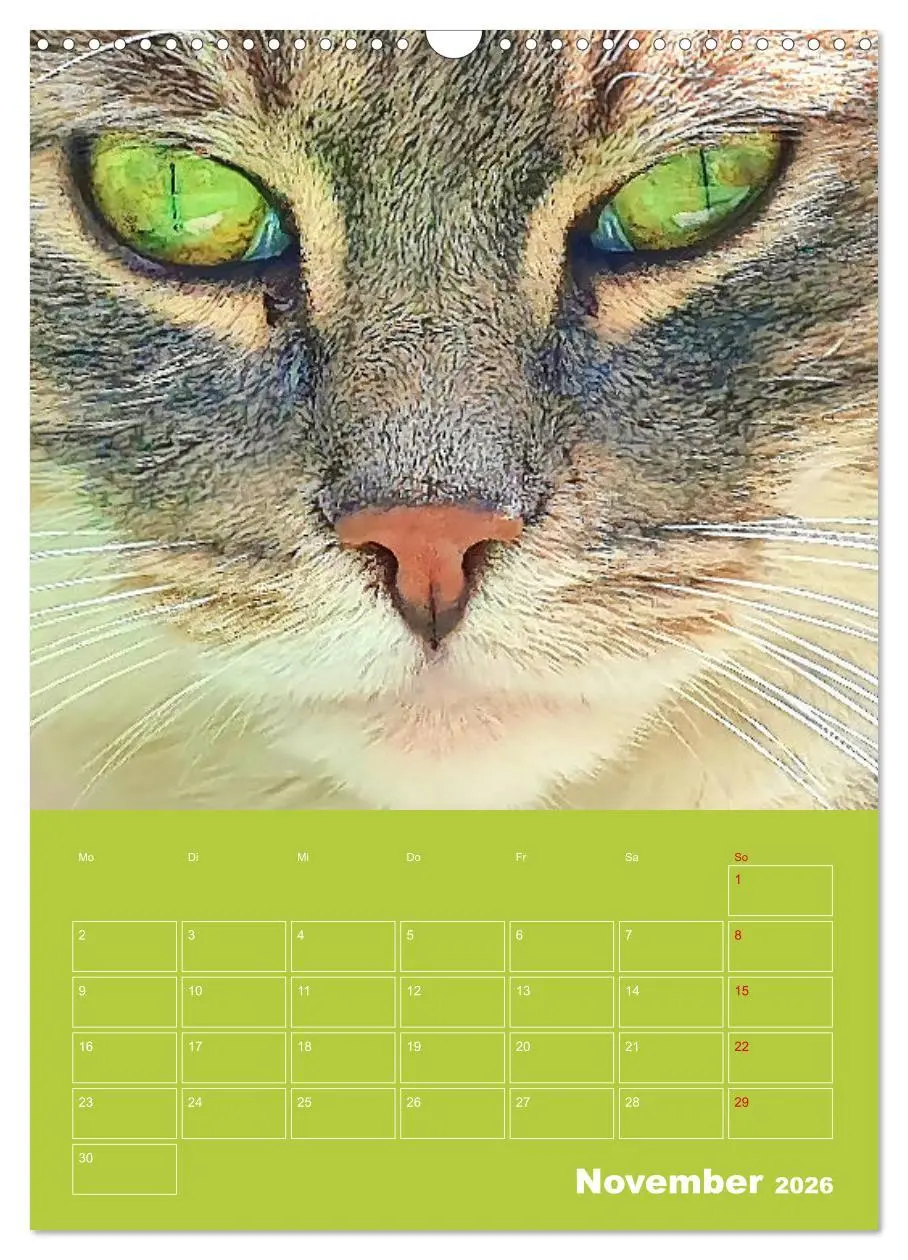 Bild: 9783516308082 | Cat Faces - Charakterstarke Katzengesichter ganz nah (Wandkalender...