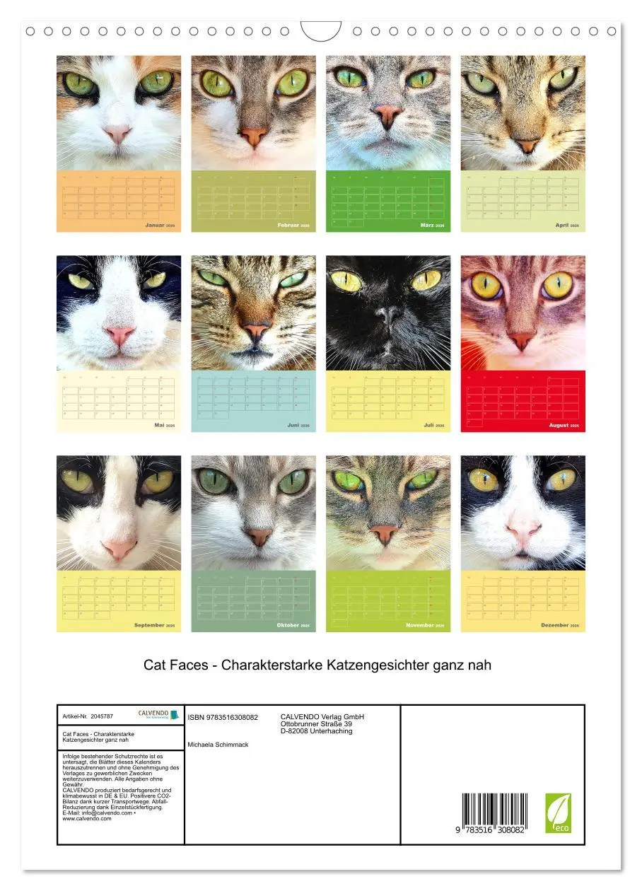 Bild: 9783516308082 | Cat Faces - Charakterstarke Katzengesichter ganz nah (Wandkalender...