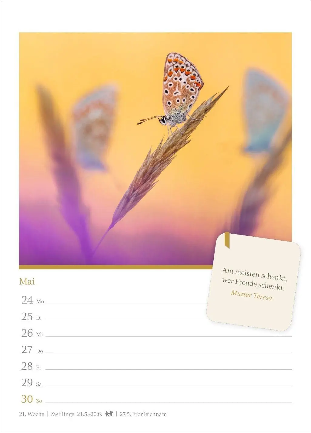 Bild: 9783840038082 | Momente der Achtsamkeit Wochenkalender 2027 - Wochenkalender mit...