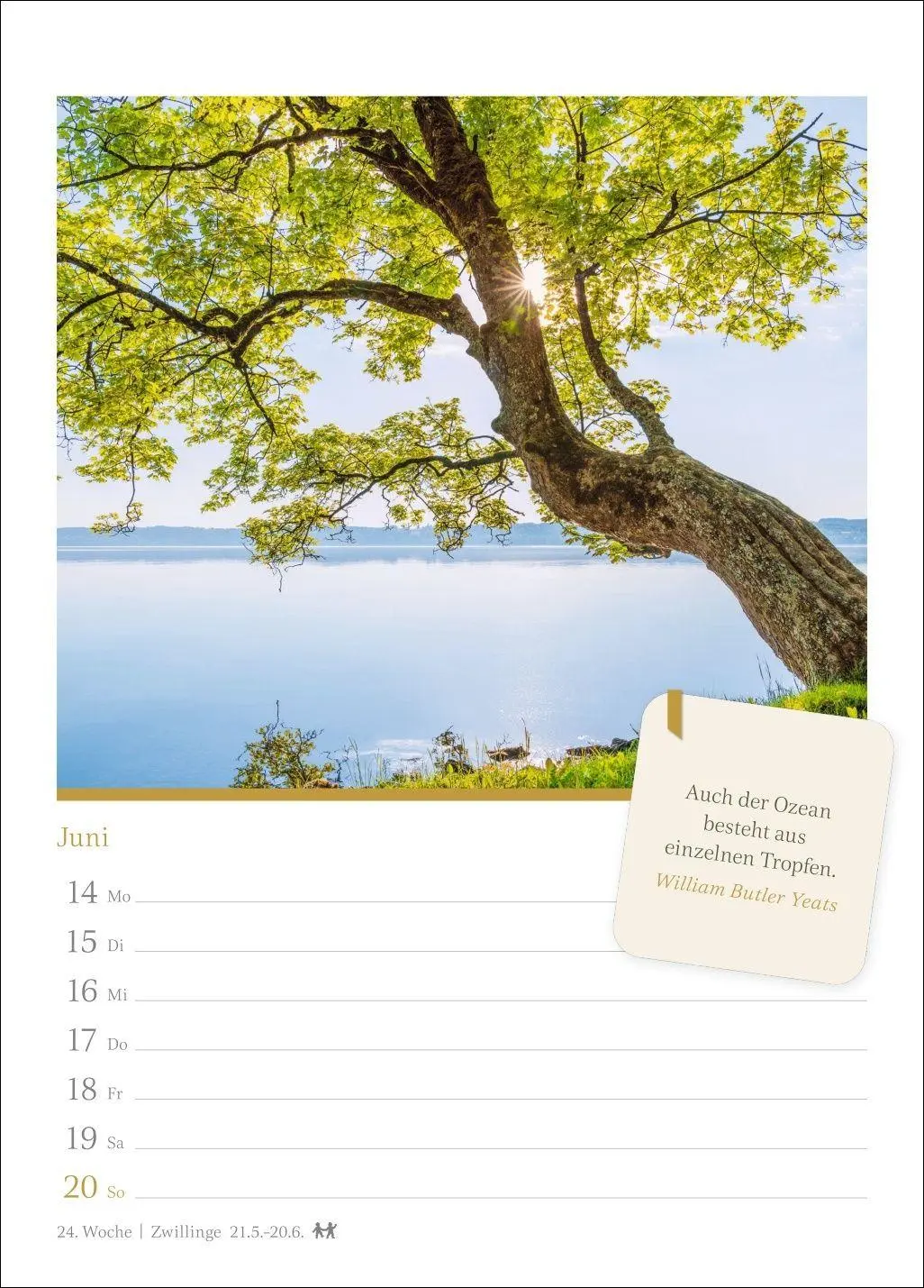 Bild: 9783840038082 | Momente der Achtsamkeit Wochenkalender 2027 - Wochenkalender mit...