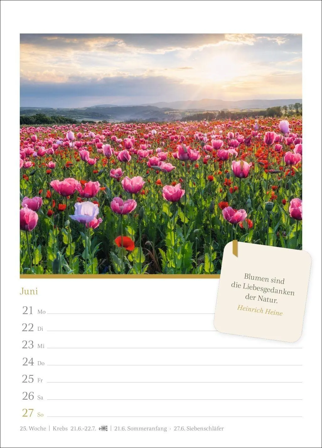 Bild: 9783840038082 | Momente der Achtsamkeit Wochenkalender 2027 - Wochenkalender mit...