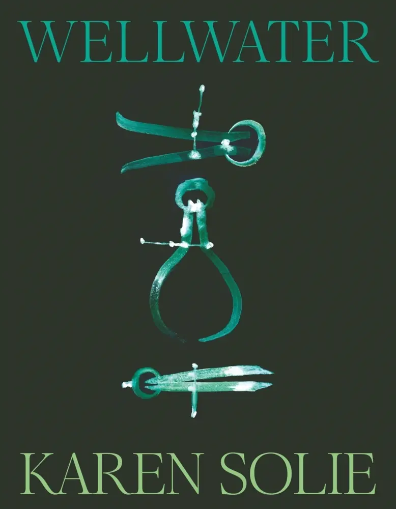 Cover: 9781035048182 | Wellwater | Karen Solie | Taschenbuch | Englisch | 2025