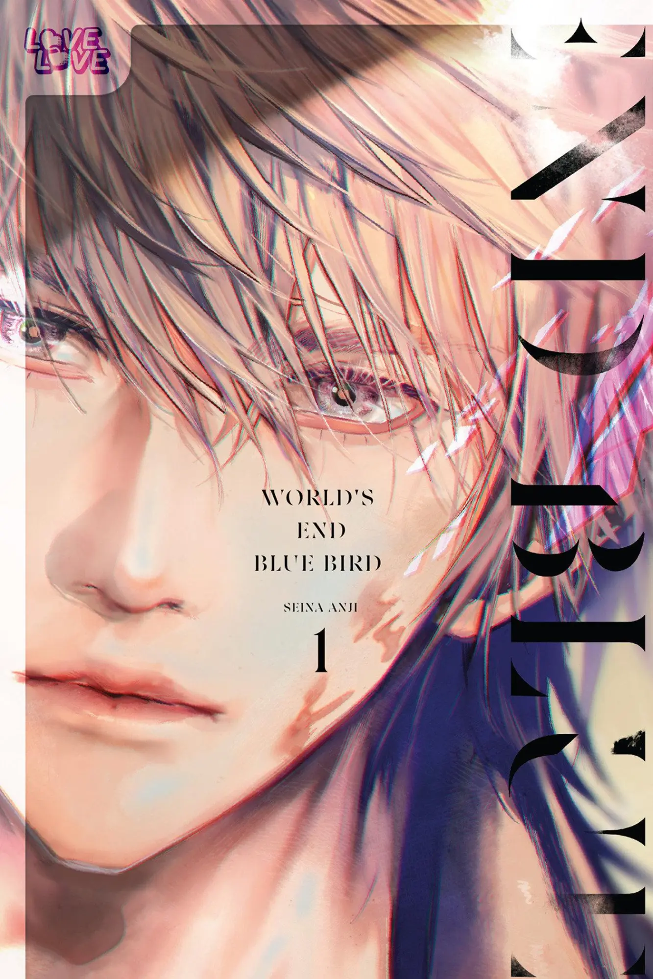 Cover: 9781427878182 | World's End Blue Bird, Volume 1 | Anji Seina | Taschenbuch | Englisch