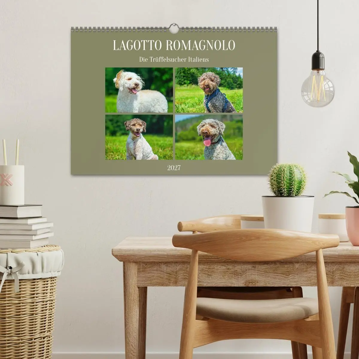 Bild: 9783594378182 | Lagotto Romagnolo - die Trüffelsucher Italiens (Wandkalender 2027...
