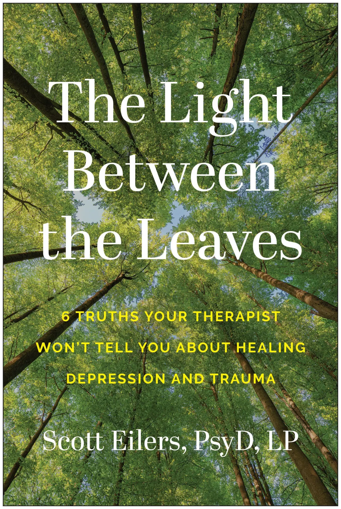 Cover: 9781637748282 | The Light Between the Leaves | Scott Eilers | Taschenbuch | Englisch
