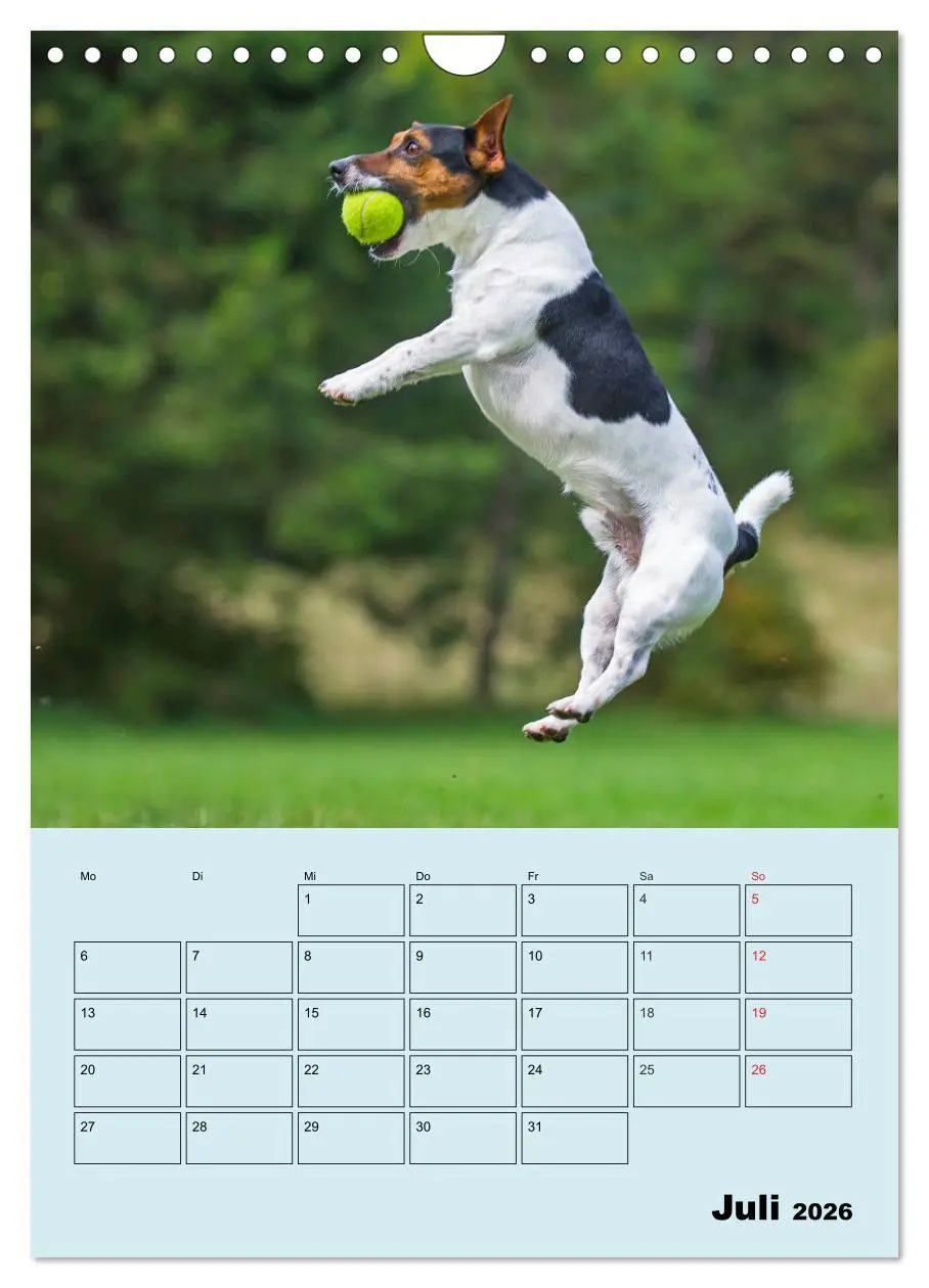 Bild: 9783516388282 | Familienplaner Jack und Parson Russell Terrier (Wandkalender 2026...