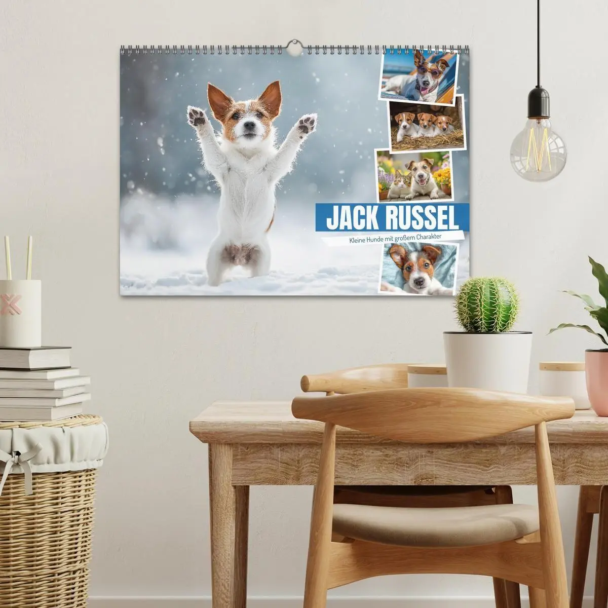 Bild: 9783516698282 | JACK RUSSEL - Kleine Hunde mit großem Charakter (Wandkalender 2026...