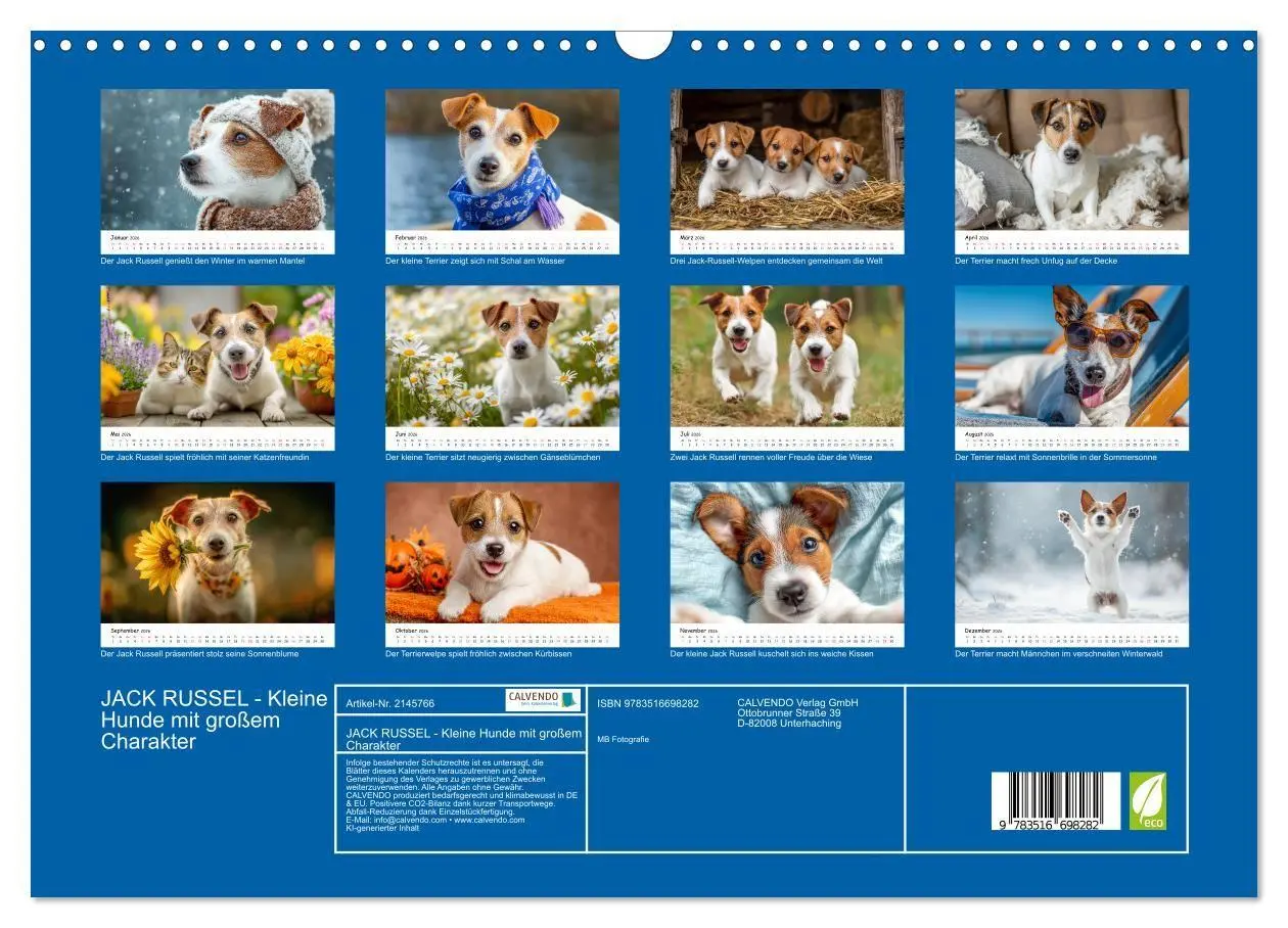 Bild: 9783516698282 | JACK RUSSEL - Kleine Hunde mit großem Charakter (Wandkalender 2026...