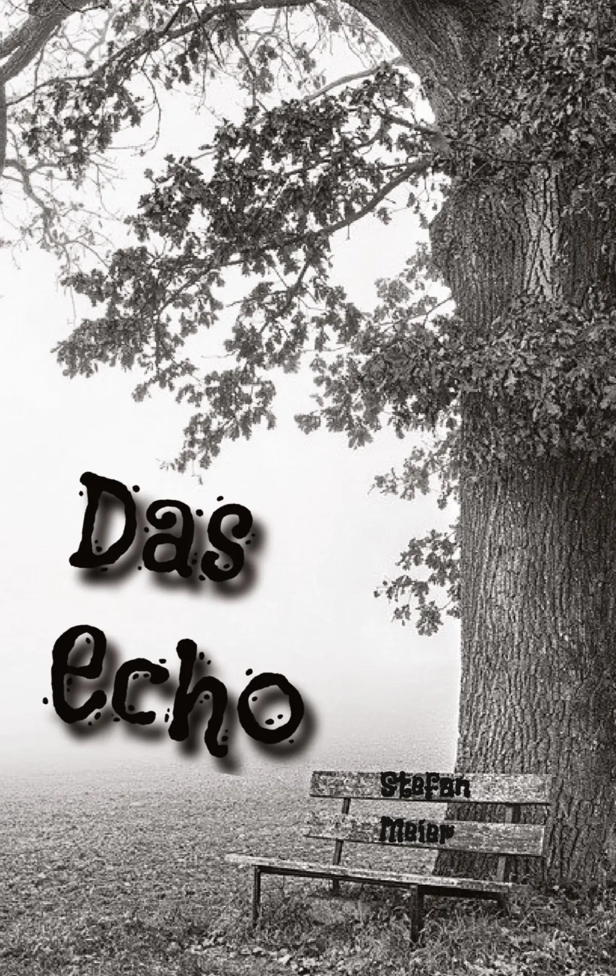 Cover: 9783347538382 | Das Echo | Thriller, Stefan Meier | Stefan Meier | Taschenbuch | 2022