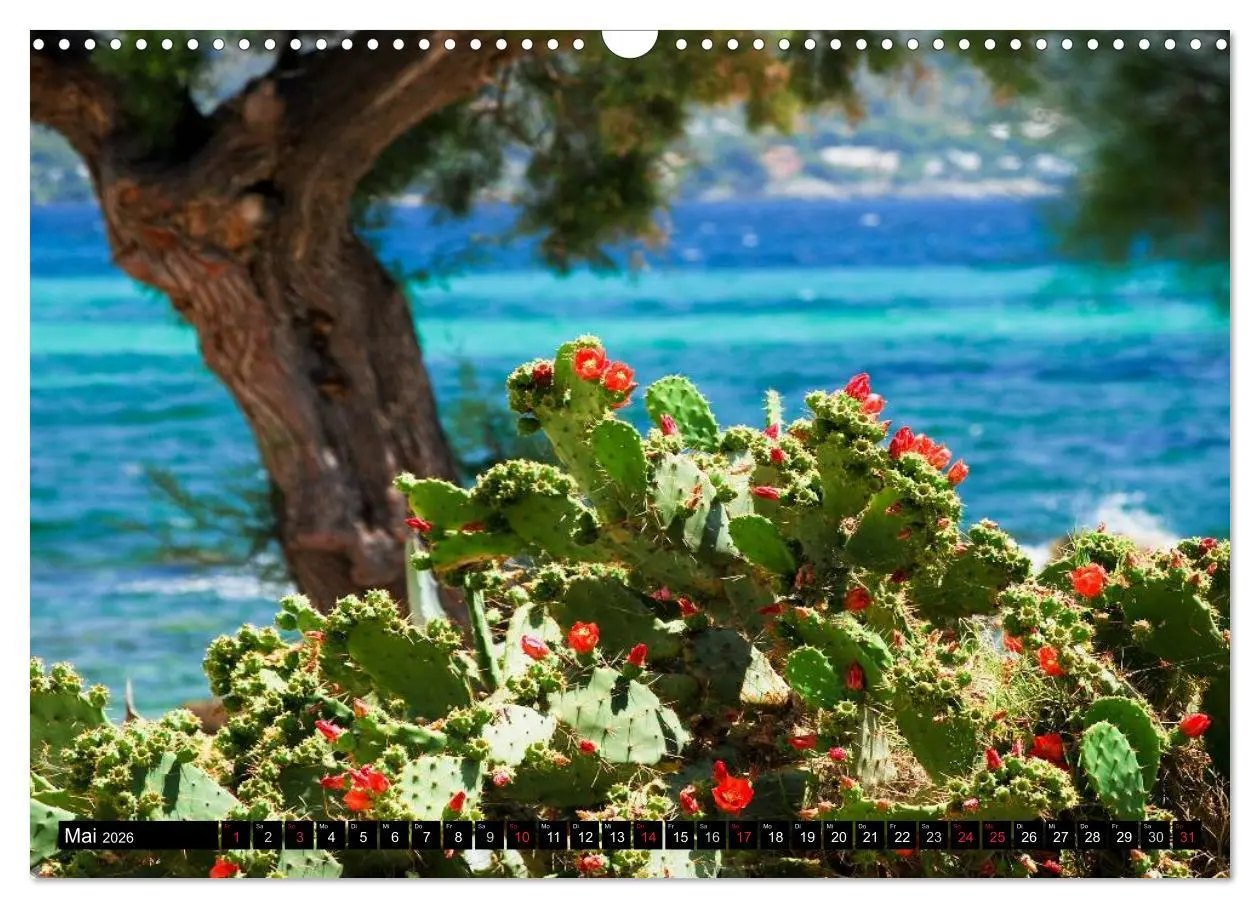 Bild: 9783516208382 | MALLORCA zum VERLIEBEN (Wandkalender 2026 DIN A3 quer), CALVENDO...