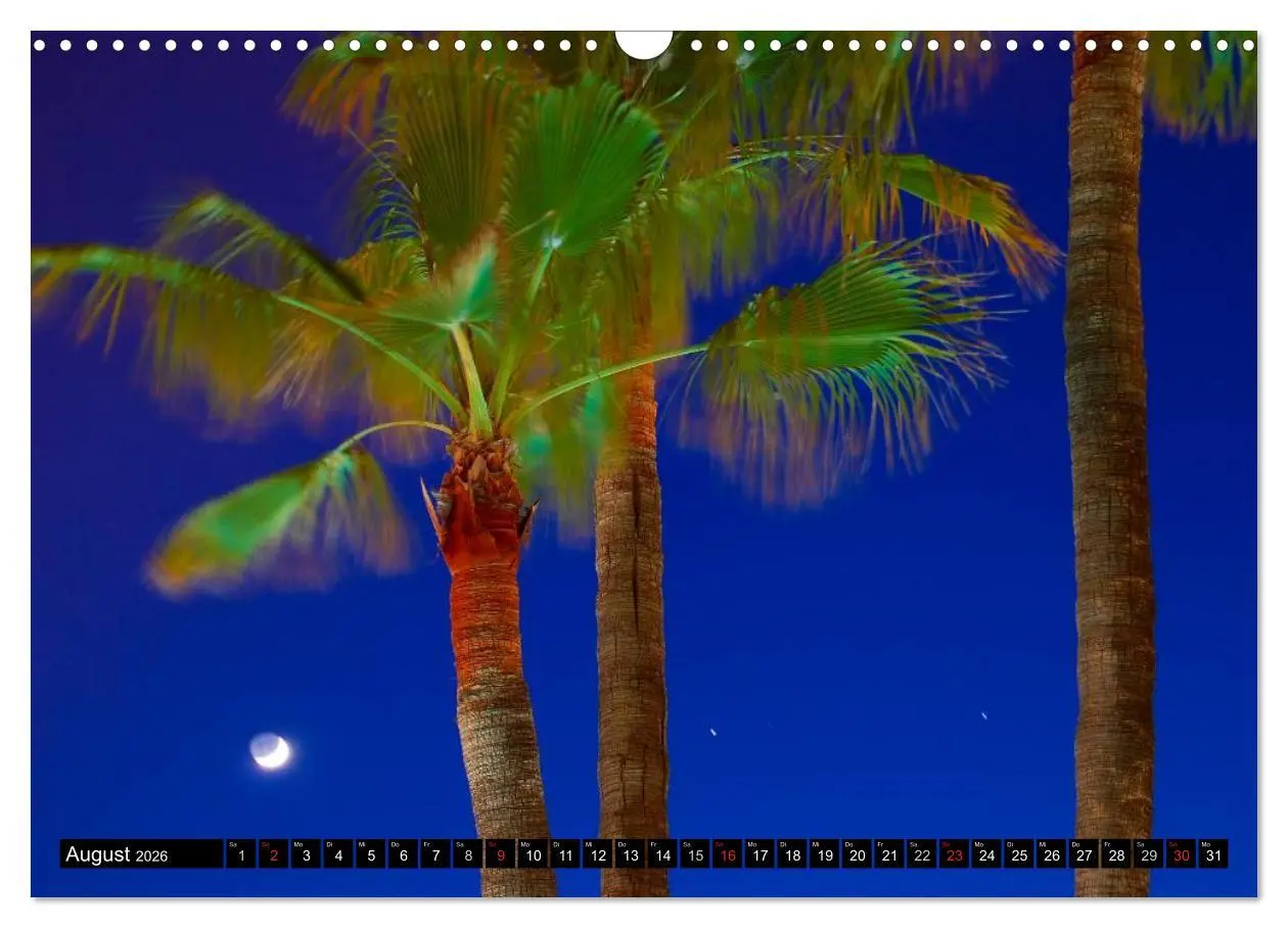 Bild: 9783516208382 | MALLORCA zum VERLIEBEN (Wandkalender 2026 DIN A3 quer), CALVENDO...